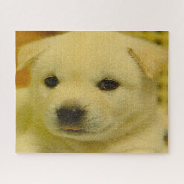 korean Jindo Dog. Jigsaw Puzzle (Horizontal)