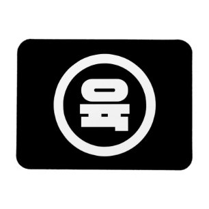 Korean Sino Number 6 Six 육 【Yuk】 Hangul Magnet