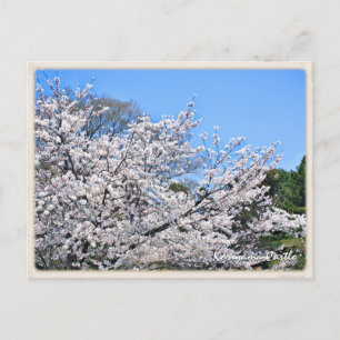 Kōriyama Castle Postcard