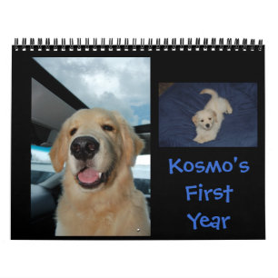 Kosmo's First Year Calendar