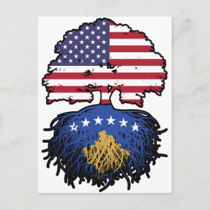 Kosovo Kosovar American USA United States America Postcard