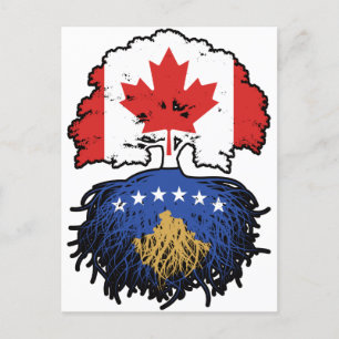 Kosovo Kosovar Canadian Canada Tree Roots Flag Postcard
