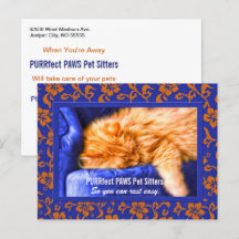 Kouch Kitty Custom Pet Sitter's Advertising Postca
