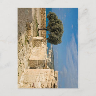 Kourion archaeological site, Cyprus Postcard