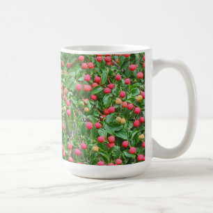 Kousa Dogwood Mug