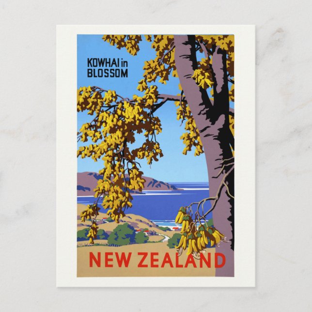Kowhai in Blossom New Zealand Vintage Poster Postcard (Front)