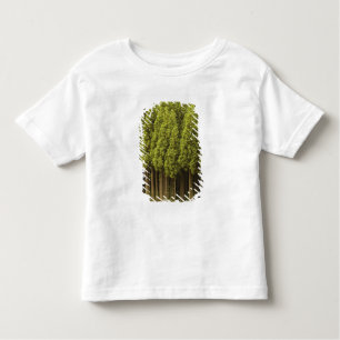 Koya Sugi Cedar Trees Toddler T-Shirt