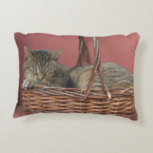 Kozy Kitty Pillow