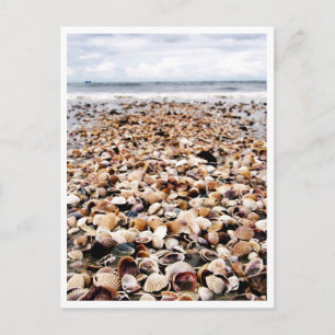 Krabi Thailand   Seashells on the Seashore Postcar Postcard