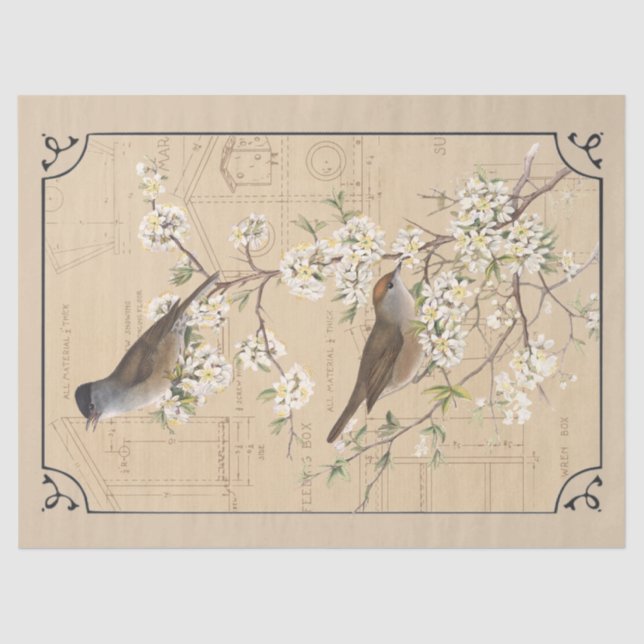 Kraft Warbler Bird Birdhouse Border Decoupage Tan Tissue Paper (Front)