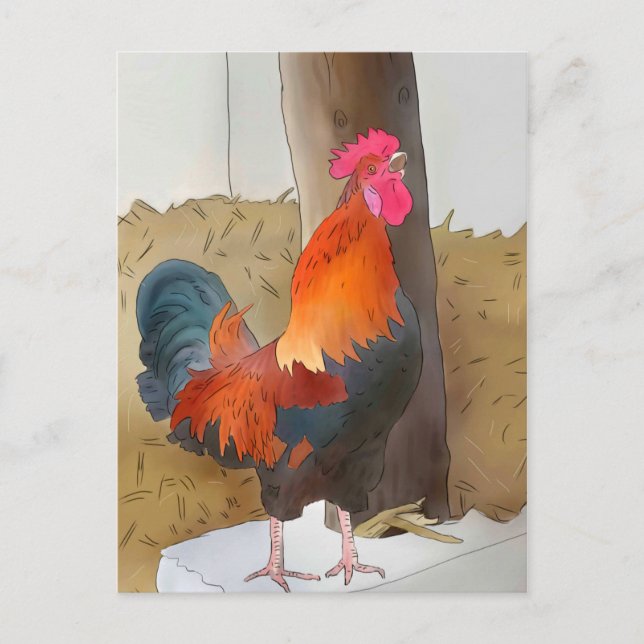 Krähender Hahn Postcard (Front)