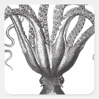 Krake / The Kraken Square Sticker