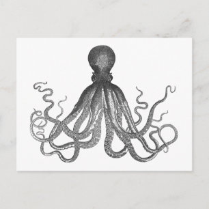 Kraken - Black Giant Octopus / Cthulu Postcard