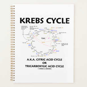 Krebs Cycle A.K.A. Citric Acid Cycle Tricarboxylic Planner