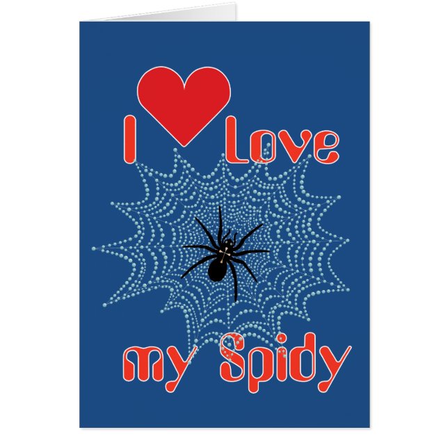 Kreuzspinne im Netz (Front)