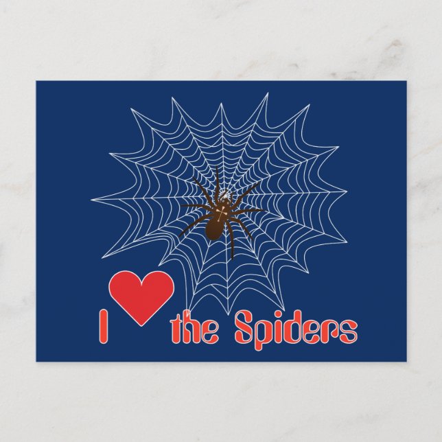 Kreuzspinne im Netz Postcard (Front)