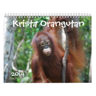 Krista Orangutan 2014 Wildlife Photography Calendar