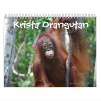 Krista Orangutan wildlife charity 