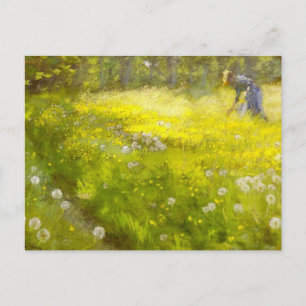 Kroyer's Garden at Skagen Postcard