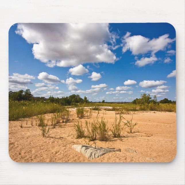 Kruger Landscape - Mousepad (Front)