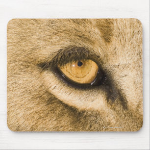 Kruger National Park, Limpopo Province Mouse Pad
