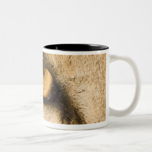 Kruger National Park, Limpopo Province Two-Tone Coffee Mug