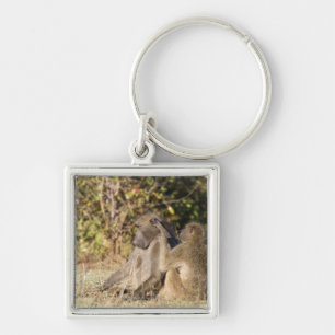 Kruger National Park, South Africa Key Ring