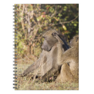 Kruger National Park, South Africa Notebook