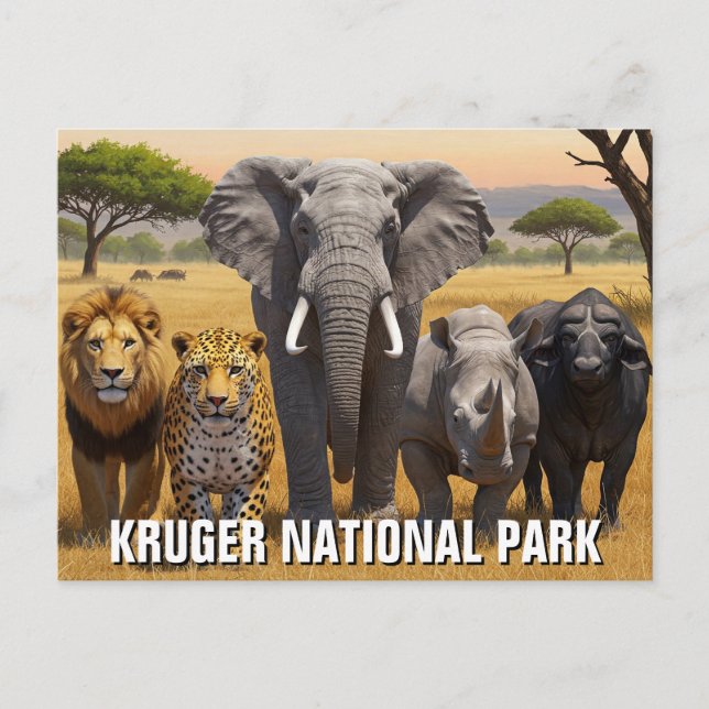 Kruger National Park South Africa Travel Postcard (Front)