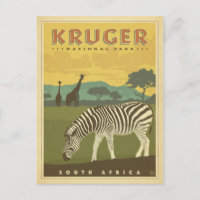 Kruger National Park, South Africa | Zebras & Gira