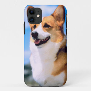 KRW Corgi Dog iPhone 5 Case