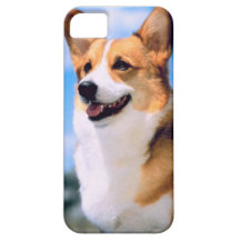 KRW Corgi Dog iPhone 5 Case