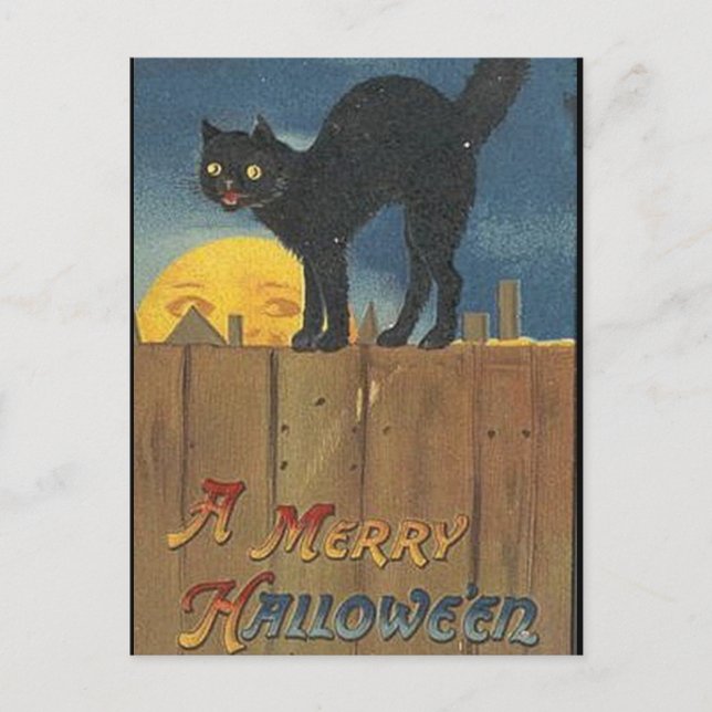 KRW Vintage Halloween Black Cat Postcard (Front)