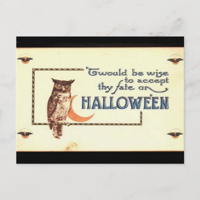 KRW Vintage Halloween Owl Postcard (Front)