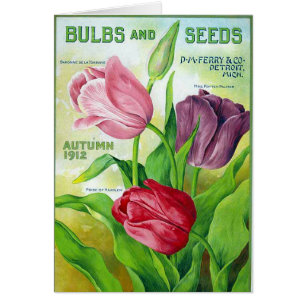 KRW Vintage Perry Seed Catalogue 1912 Card