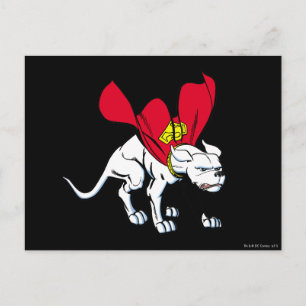 Krypto Growls Postcard