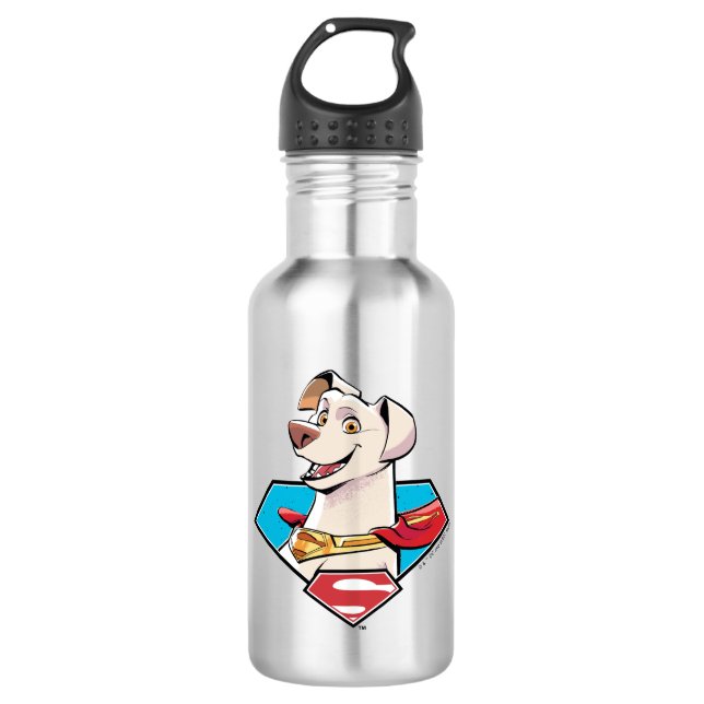 Krypto S-Shield Graphic 532 Ml Water Bottle (Front)