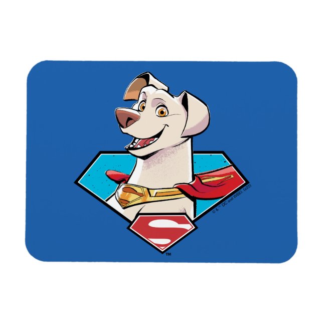 Krypto S-Shield Graphic Magnet (Horizontal)