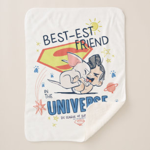 Krypto & Superman: Best-est Friend in the Universe Sherpa Blanket