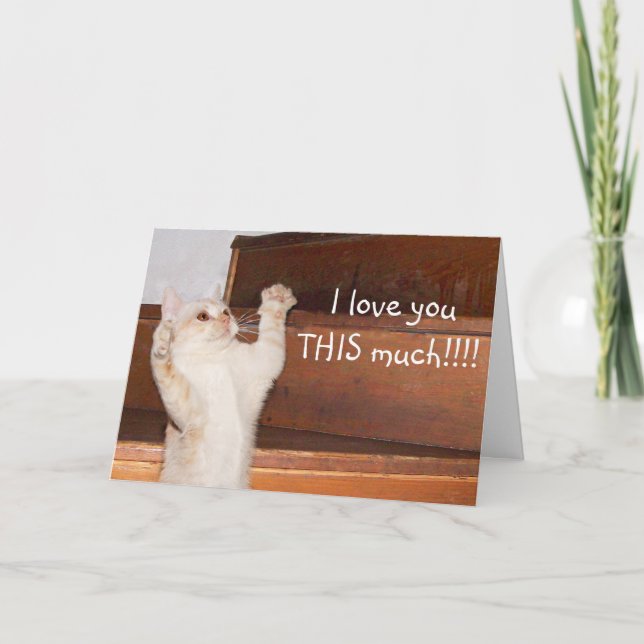 Ktty cat love card (Front)