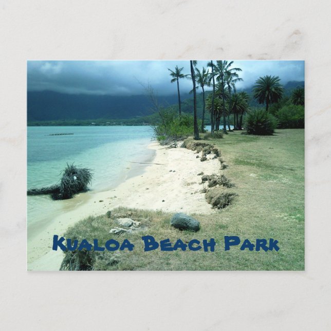 Kualoa Beach Park Postcard (Front)