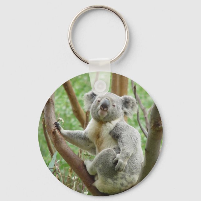 Kuddly Koala Key Ring (Front)
