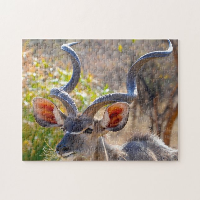 Kudu Botswana. Jigsaw Puzzle (Horizontal)