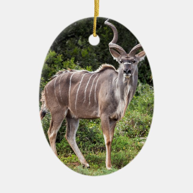 Kudu. Ceramic Tree Decoration (Front)