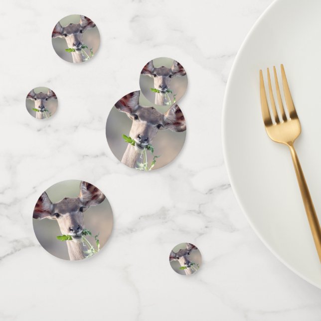 Kudu portrait confetti (Group)