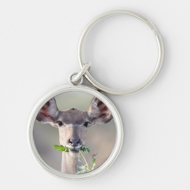 Kudu portrait key ring (Front)