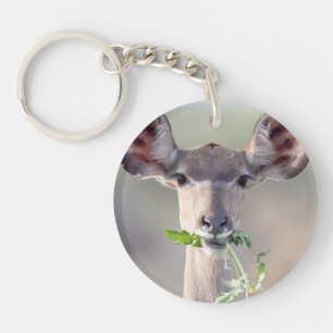 Kudu portrait key ring