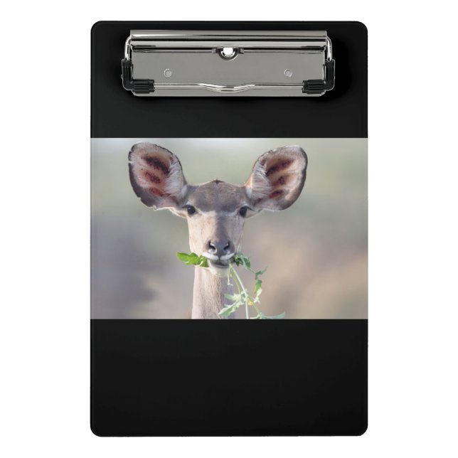Kudu portrait mini clipboard (Front)
