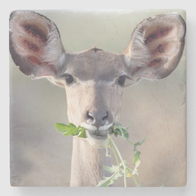 Kudu portrait stone coaster (Front)