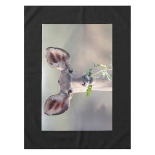 Kudu portrait tablecloth